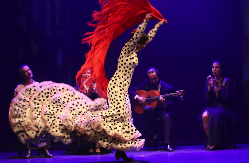 spectacle flamenco malaga 