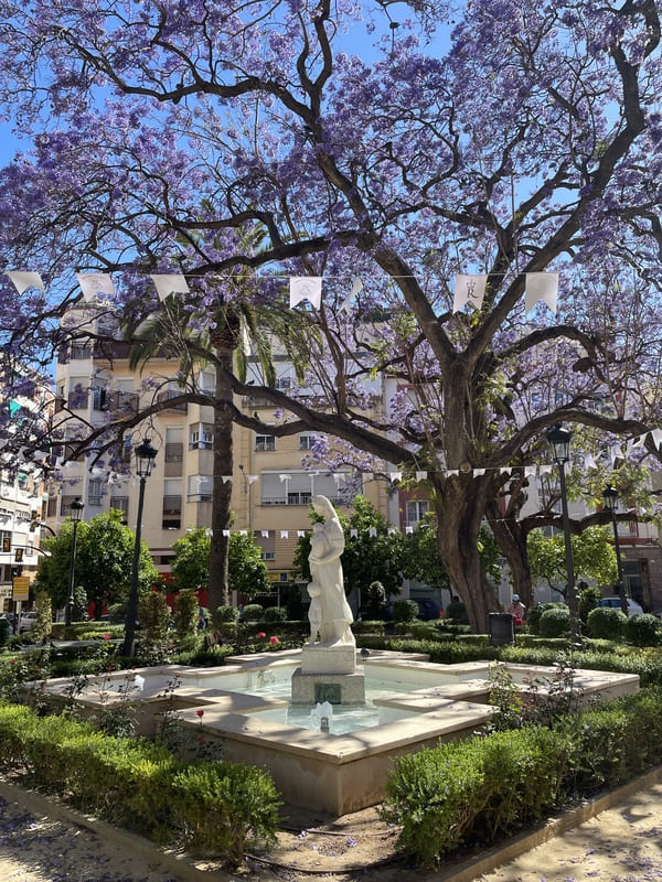 malaga centre fontainejpg Fontaine dans le centre historique de Malaga