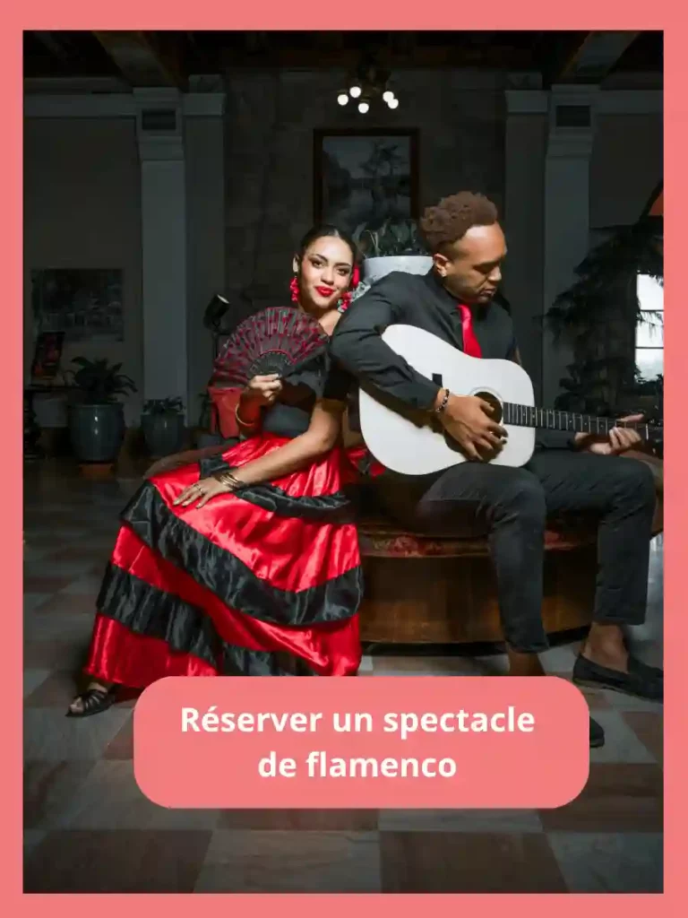 reserver un spectacle de flamenco réserver un spectacle de Flamneco malaga